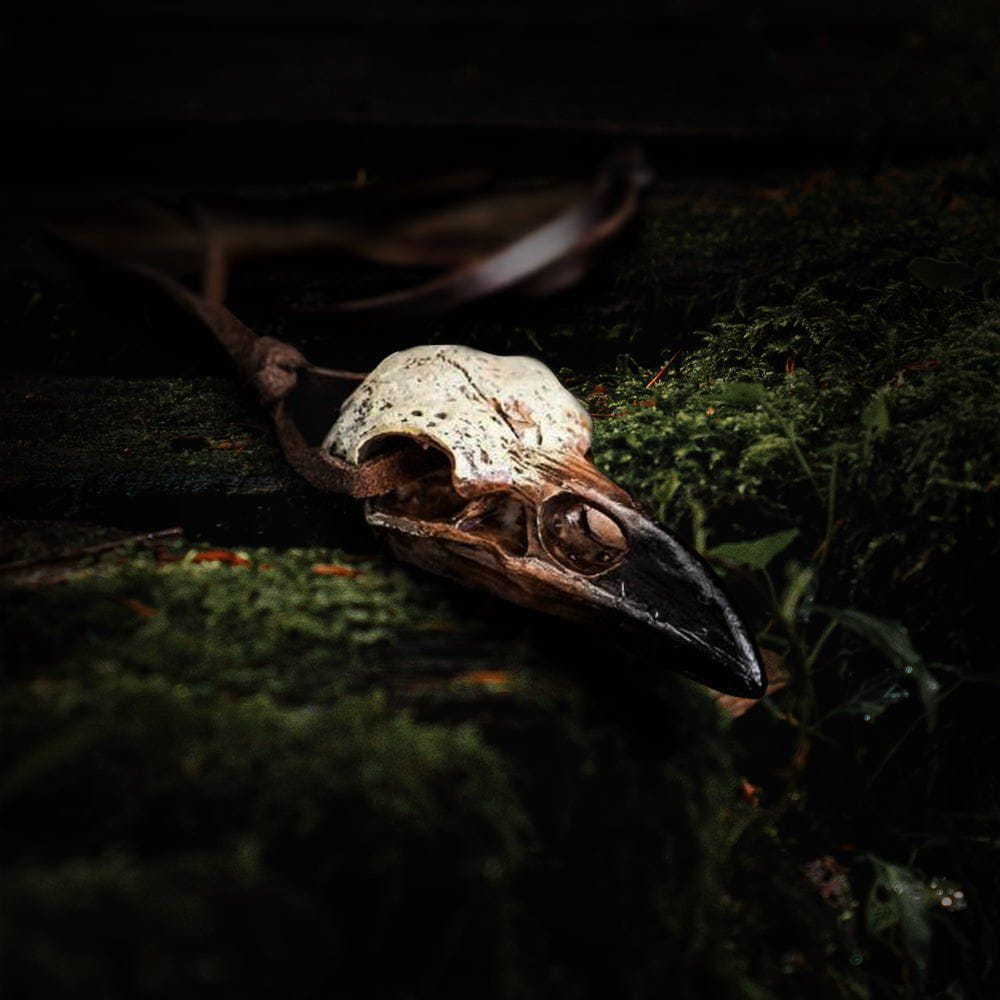 Raven skull pendant necklace on a brown leather cord